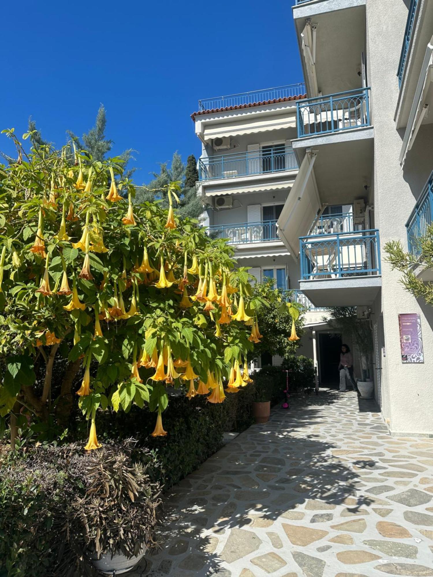 Drossinos Studios Poros Town Екстериор снимка