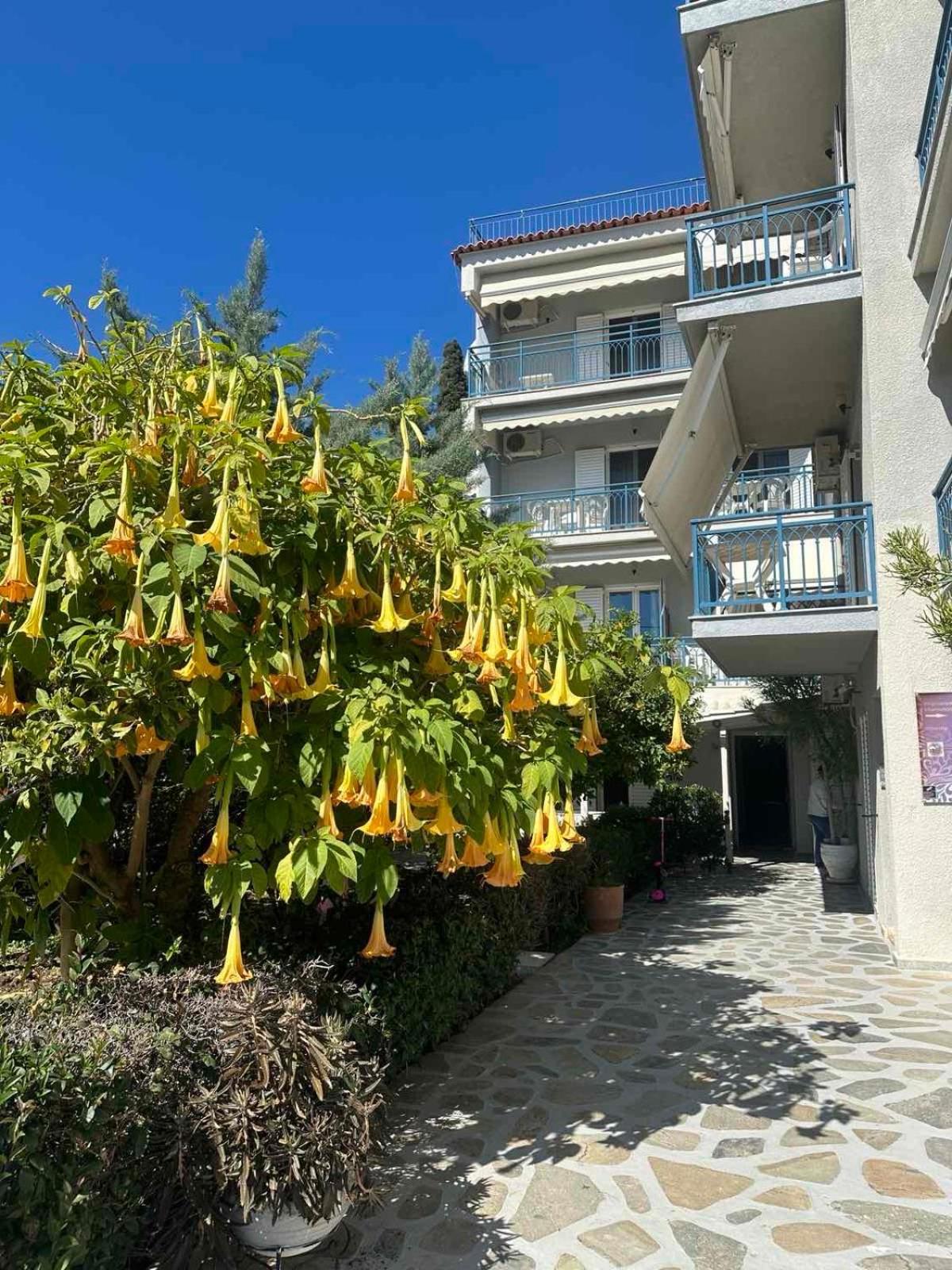 Drossinos Studios Poros Town Екстериор снимка